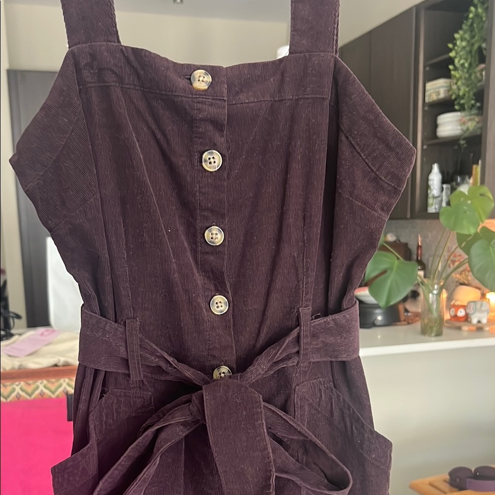 Dark Brown Button-Down Dress with Belt